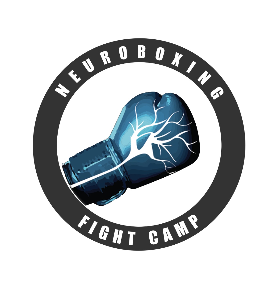 NeuroBoxing Fight Camp2 Homepage